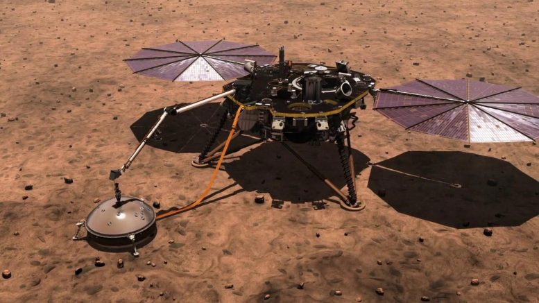 Insight Lander